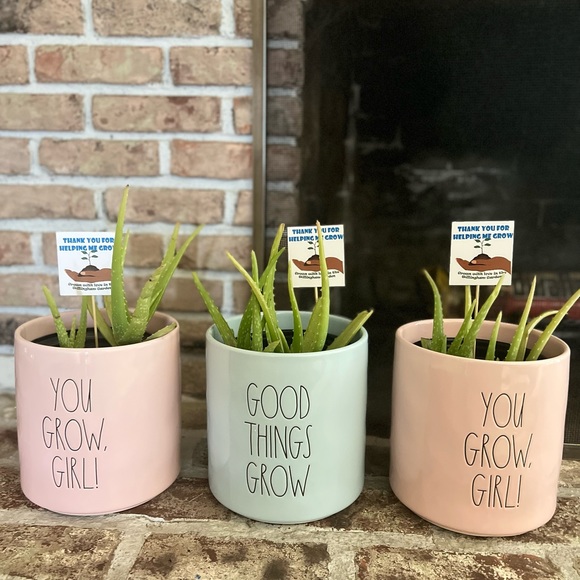 Rae Dunn 8” planter “ Good things grow” NWT - Picture 2 of 6